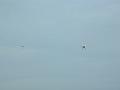 2003_0517_103253AA